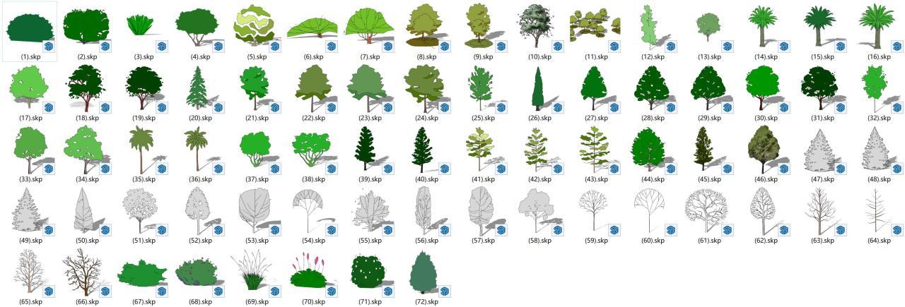 草图大师SketchUp植物树木综合SU单体模型