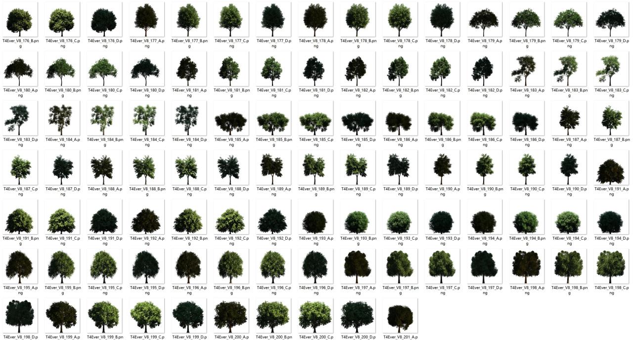 建筑景观园林效果图植物PSD分层素材源文件PS高清后期素材图片库
